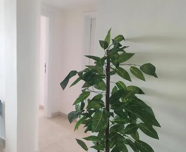 Comfort Marine 2 Apartment *